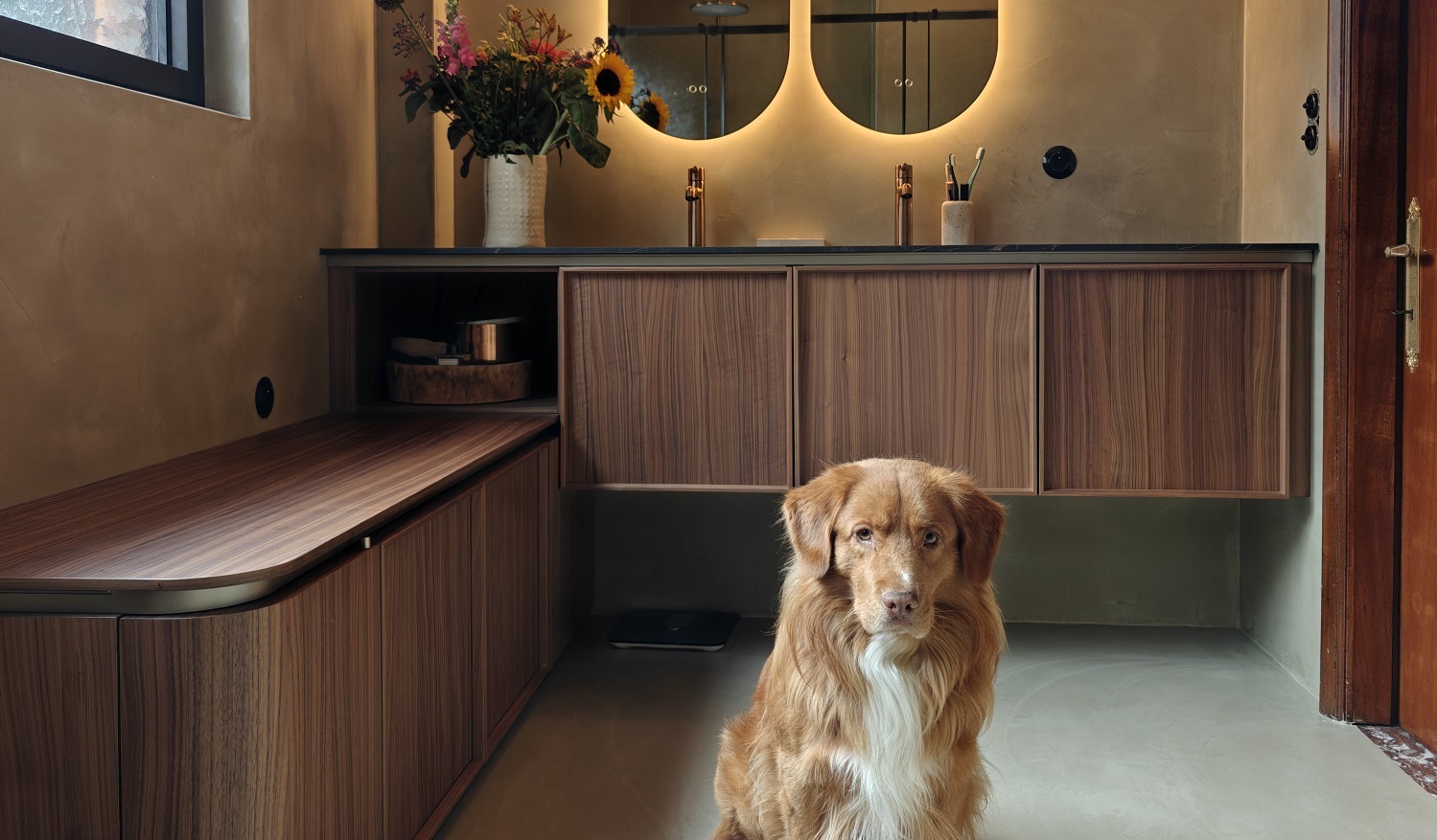 Project in de kijker